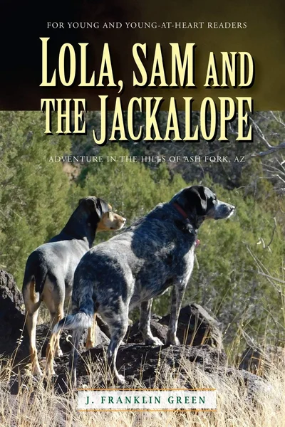 Cover of Lola, Sam and the Jackalope
