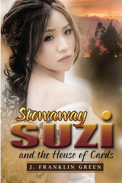 Cover of Stowaway Suzi