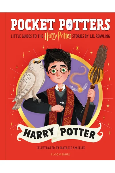 Pocket Potters: Harry Potter (Pocket Potters, #1)